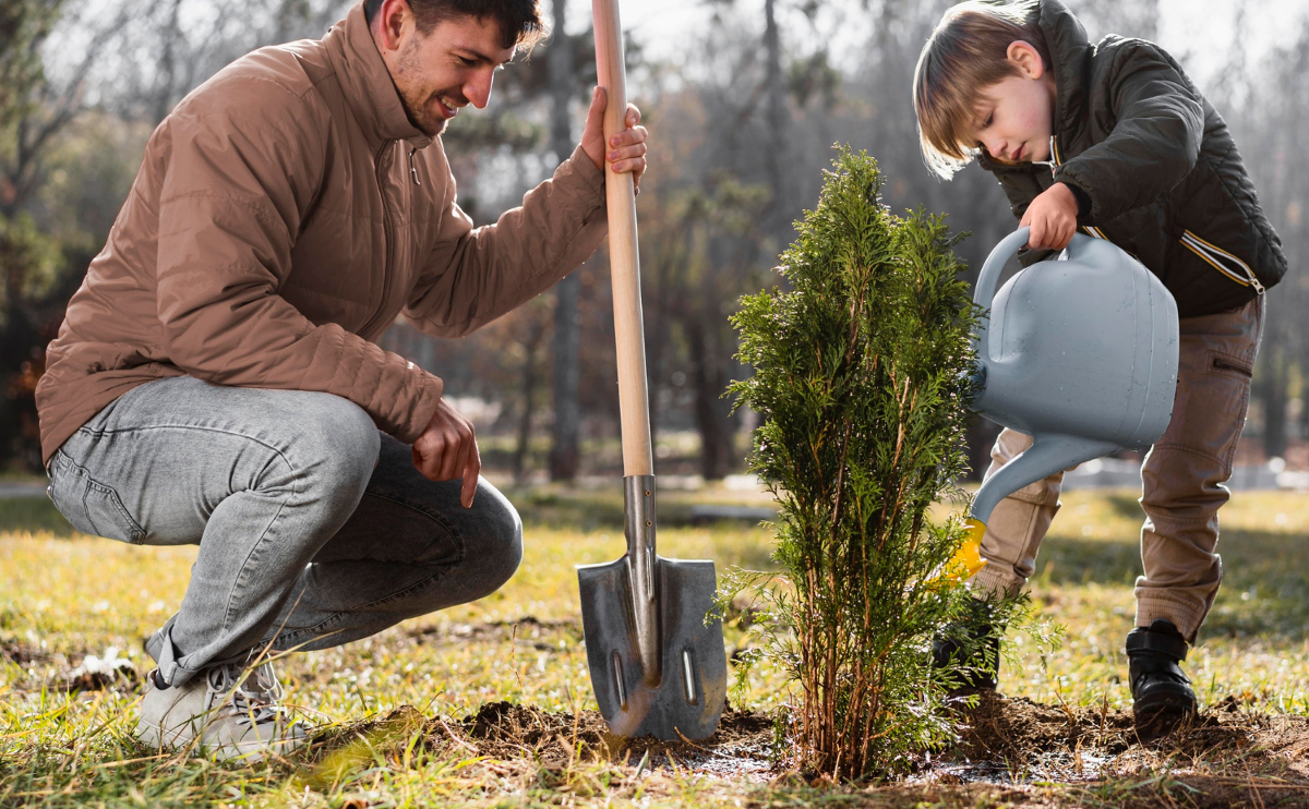Pourquoi ne pas planter un Eucalyptus ? Les erreurs fréquentes