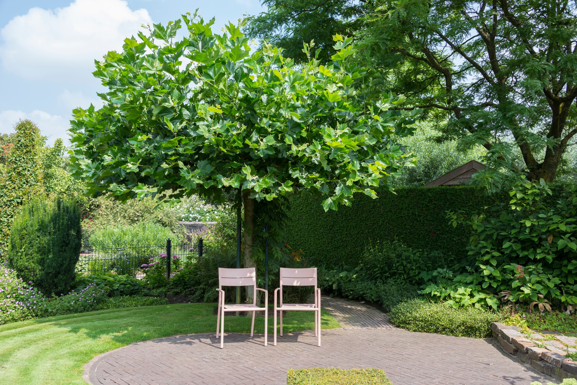 two pink furniture plastic chairs in garden