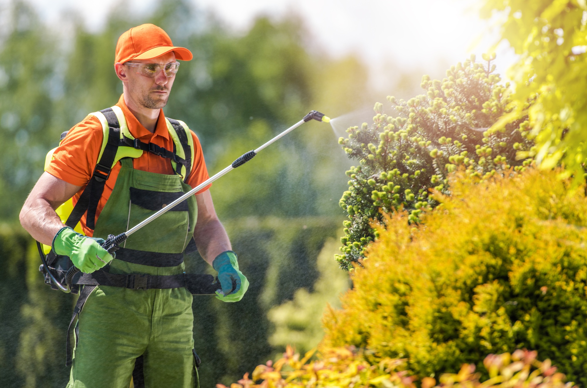 Guide sur le dosage du glyphosate pour 5 litres d’eau à utiliser efficacement