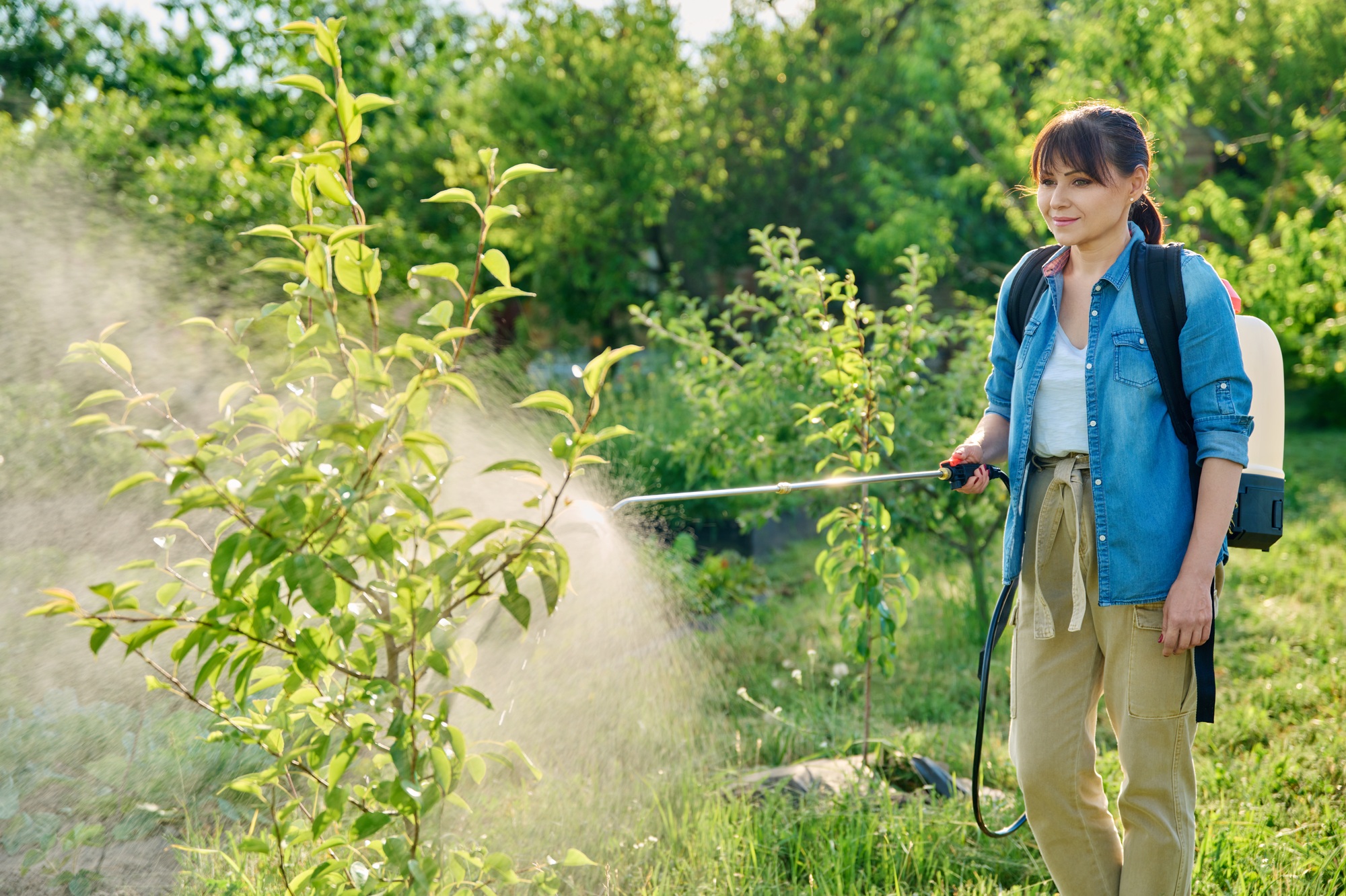 FAQ sur le dosage du roundup agricole pour 5 litres d’eau : vos questions répondues