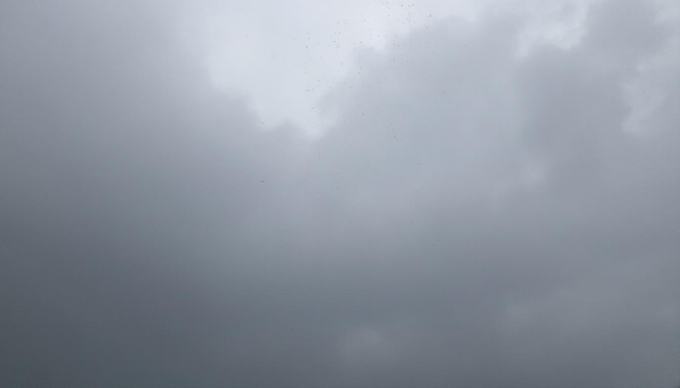 découvrez la différence entre pluie éparses et averses grâce à notre guide pratique destiné aux amateurs de météorologie. comprenez mieux les prévisions météo et adaptez-vous aux conditions climatiques.