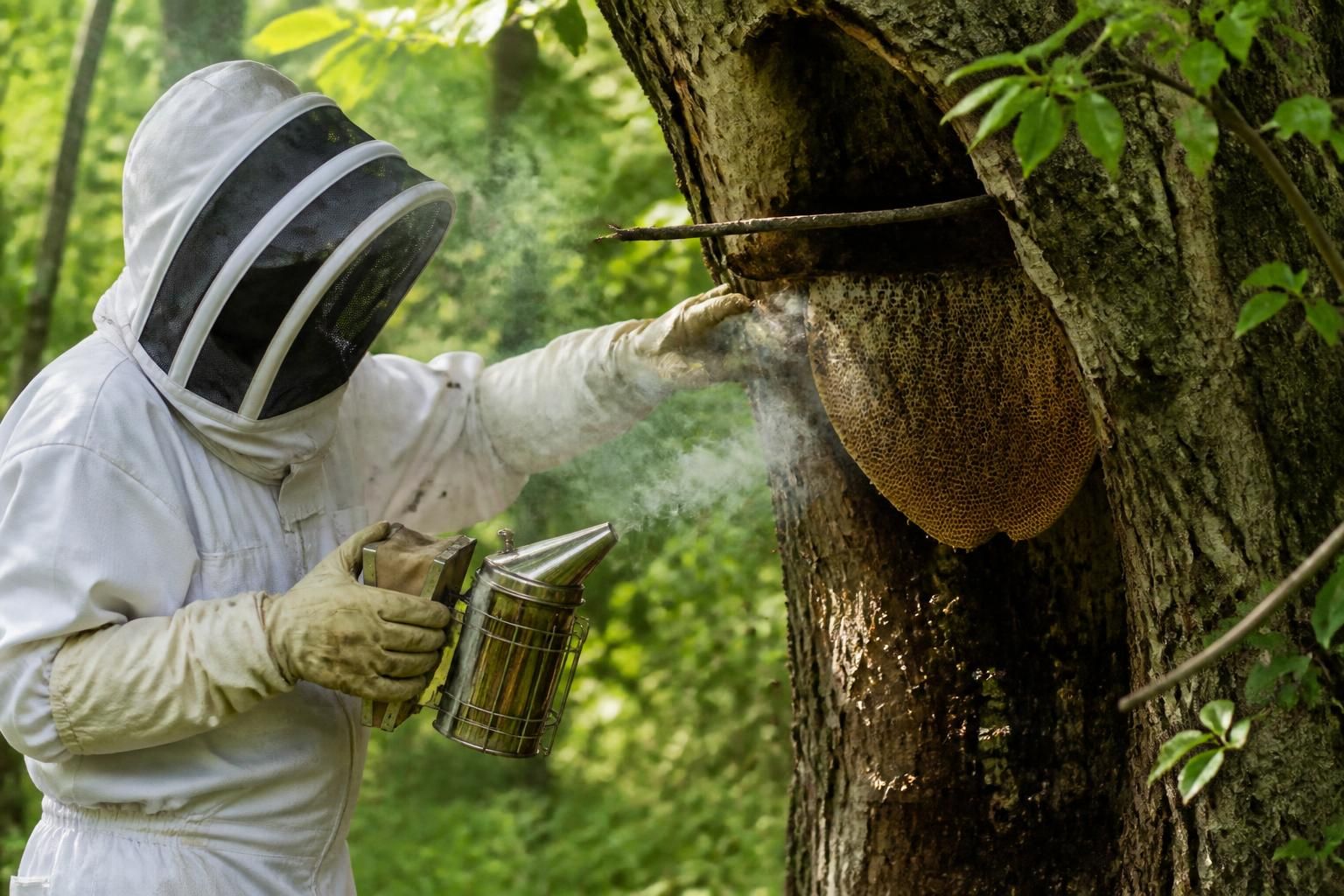 apprenez comment enlever une ruche d’abeilles en toute sécurité grâce à nos conseils pratiques et méthodes efficaces pour protéger les abeilles et votre environnement.
