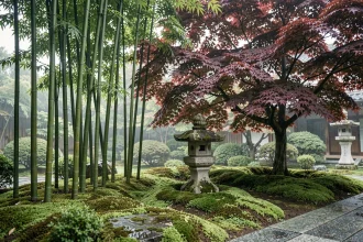 Jardin zen avec bambous, érable japonais rouge et mousse verte autour d'une lanterne en pierre